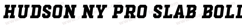 Hudson NY Pro Slab Bold字体转换